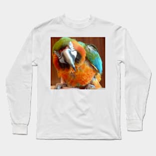 Macaw Long Sleeve T-Shirt